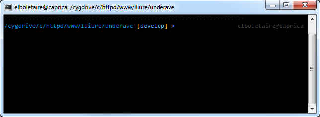 zsh under windows using cygwin