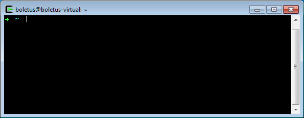zsh-init